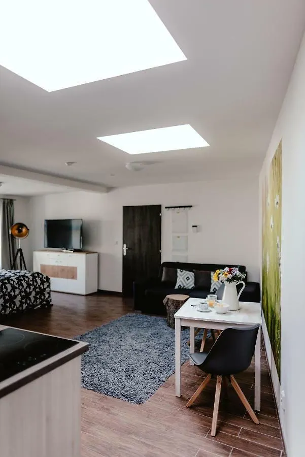 Zelny Trh 40 Lägenhet Brno